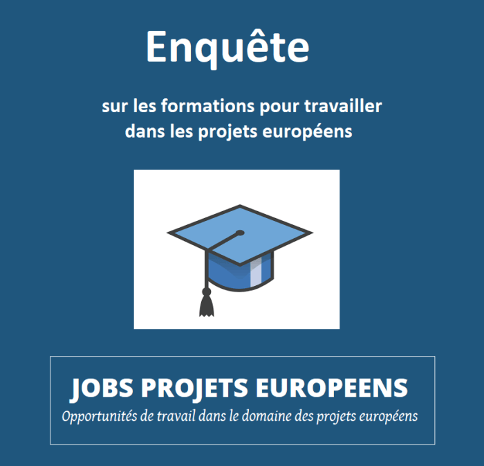 Projets européens Vincent ARNOUX Enquete