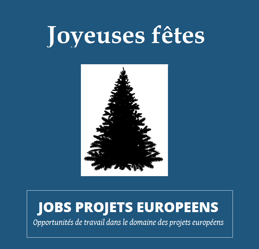 Projets-européens-Vincent-ARNOUX-Noel